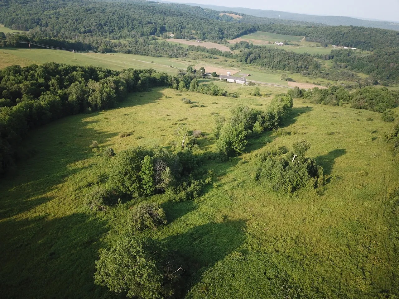 Aerial view of Ahava Farms