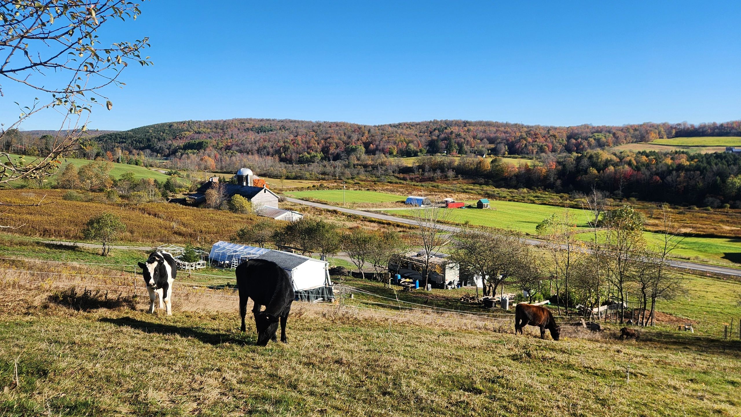 Ahava Farms rolling hills