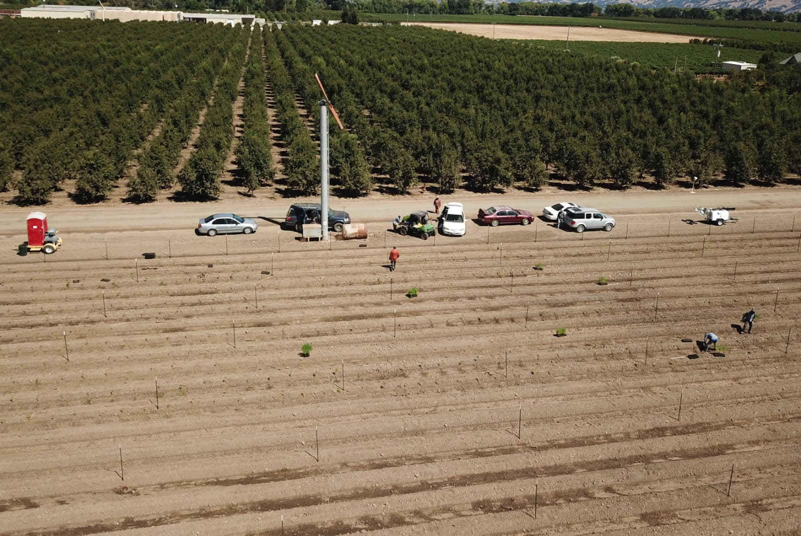 Aerial view of Ahava Farms